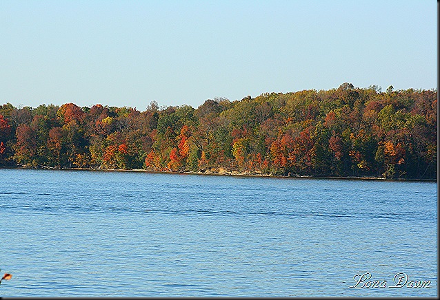 Nature's Scenic View: Fall at Caesar Creek State Park Lake